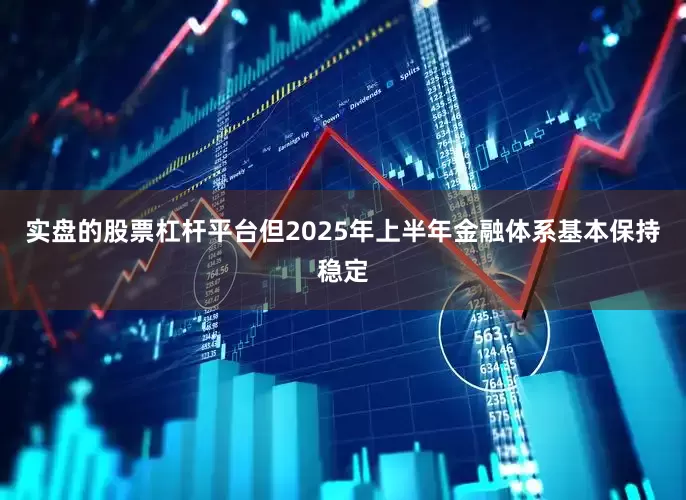 实盘的股票杠杆平台但2025年上半年金融体系基本保持稳定