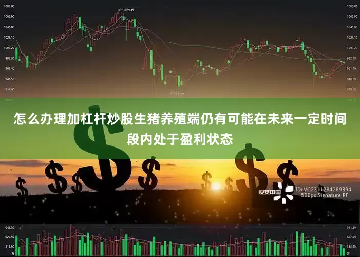 怎么办理加杠杆炒股生猪养殖端仍有可能在未来一定时间段内处于盈利状态