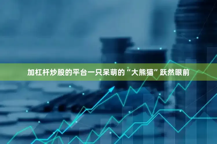 加杠杆炒股的平台一只呆萌的“大熊猫”跃然眼前