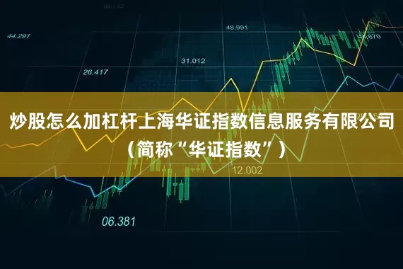 炒股怎么加杠杆上海华证指数信息服务有限公司（简称“华证指数”）