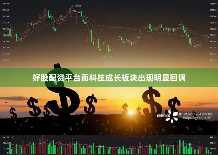 好股配资平台而科技成长板块出现明显回调